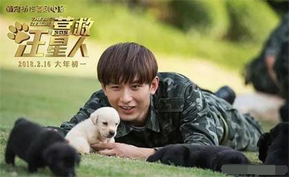 电影,营救汪星人