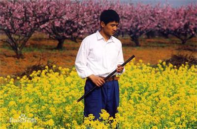 电影《桃花灿烂》剧照